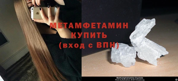 прущие грибы Кулебаки