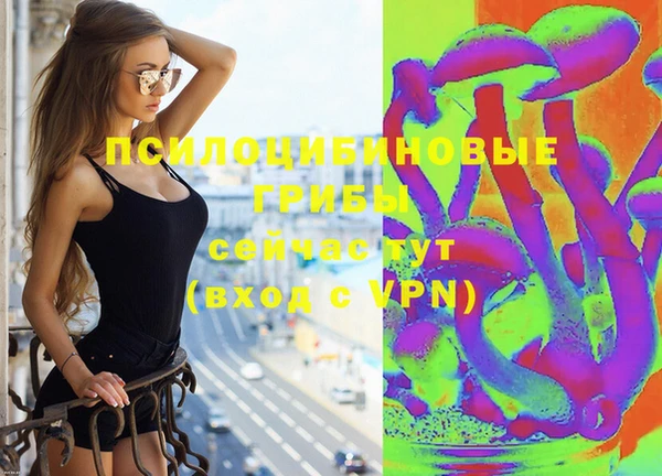 прущие грибы Кулебаки