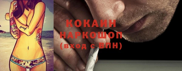 прущие грибы Кулебаки