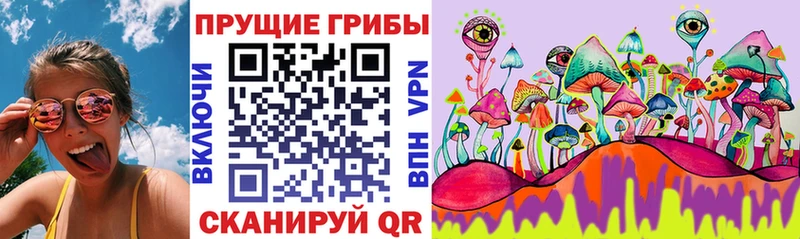 закладка  Кочубеевское  MEGA ссылка  Галлюциногенные грибы прущие грибы 